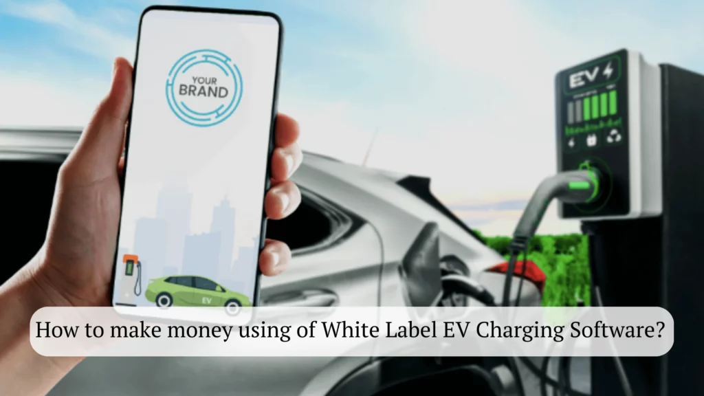 How to make money using of White Label EV Charging Software?